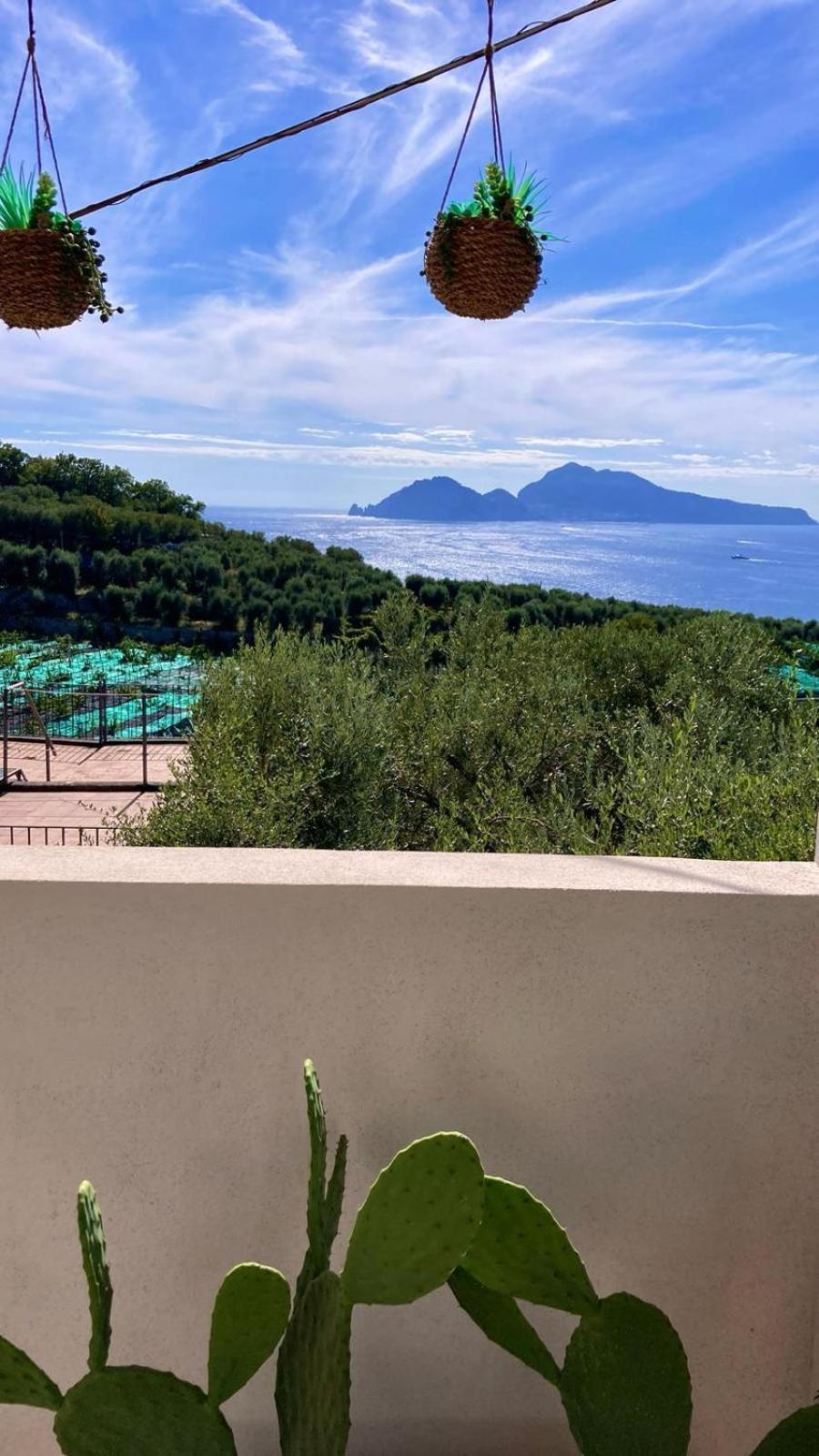Villa Manu マッサ・ルブレンセ エクステリア 写真